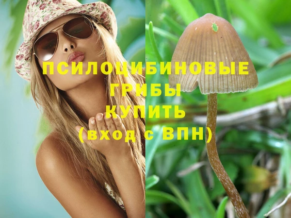 MDMA Premium VHQ Вяземский