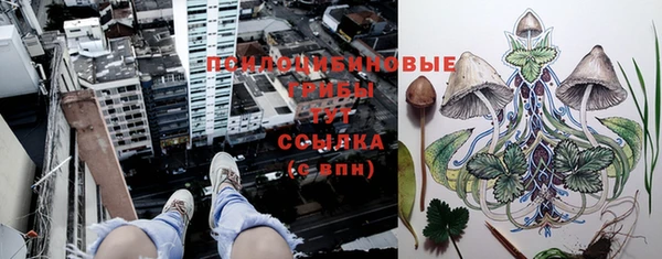 не бодяженный Володарск