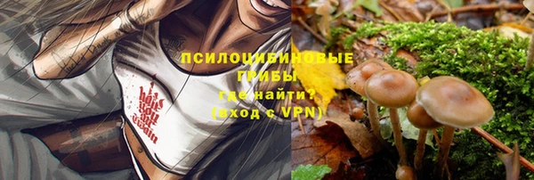 первитин Вязьма