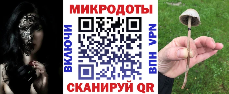 Псилоцибиновые грибы ЛСД Можайск