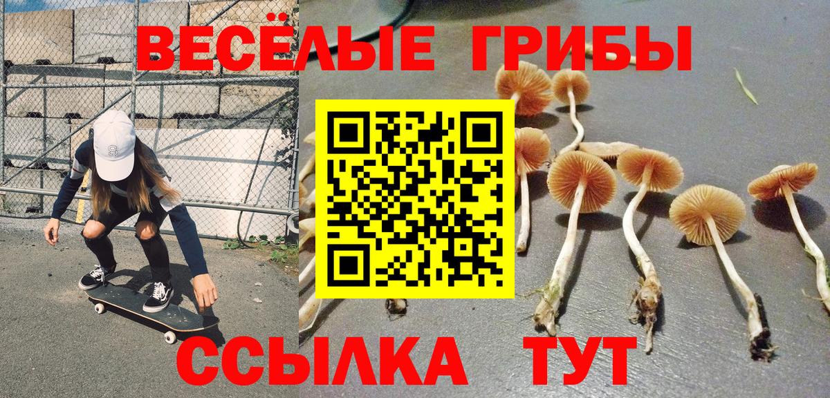 Галлюциногенные грибы мухоморы Можайск
