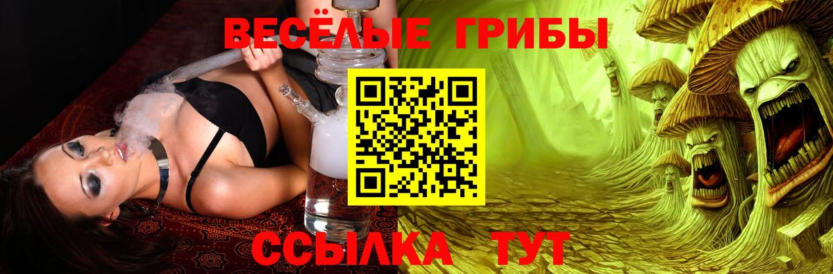 Можайск  Псилоцибиновые грибы мухоморы  Вход с VPN 